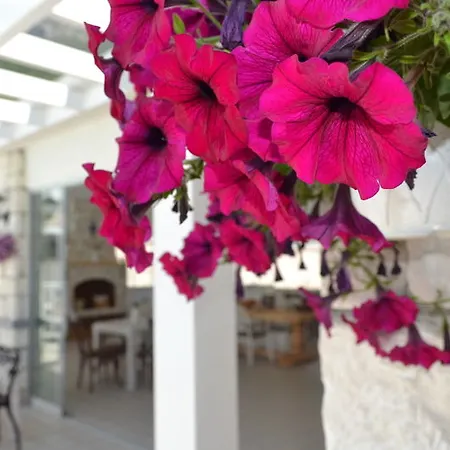 La Boutique Maya Hotel 4*