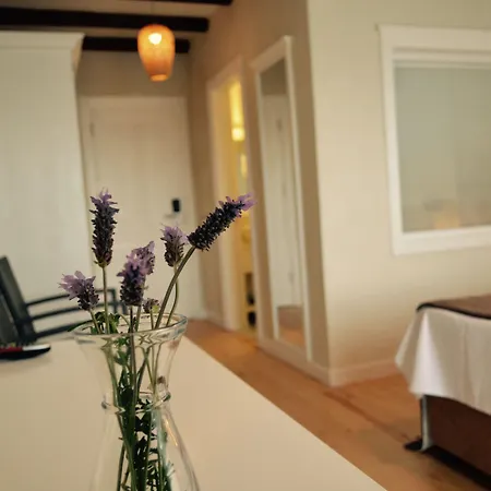 Отель La Boutique Maya 4*