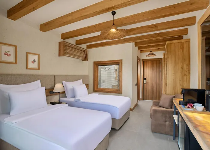 La Boutique Maya 4* أولدينيس